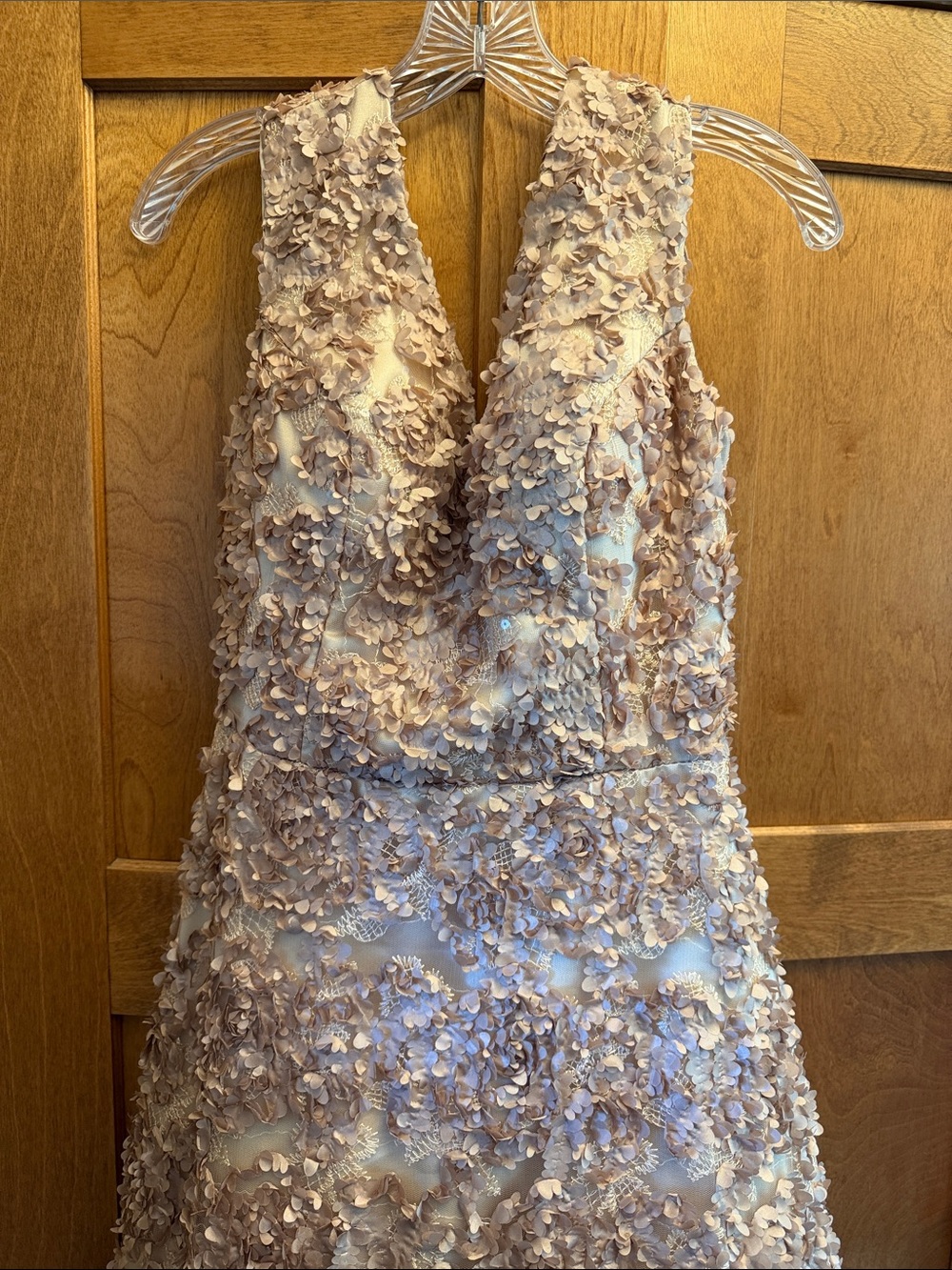 Beautiful Appliqué Floral V-Neck A-Line Wedding Dress in Cream Champaign size 4 - Picture 2 of 10